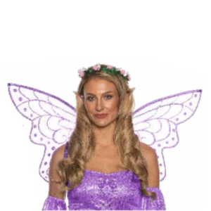 31418/19 FAIRY ACCESSORY KIT (26)