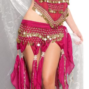 2057 COIN SASH (325)