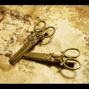 69806 SCISSORS HAIR BARRETTES (1225)